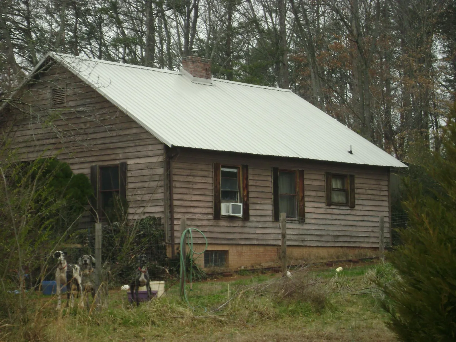 White metal roof on an old wood sided farmhouse, from a Asphalt Shingle Roof Repair job in Nanty Glo